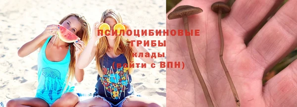 ALPHA-PVP Алексин
