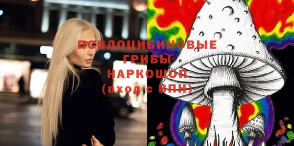 дживик Алексеевка