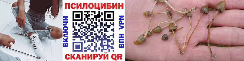 Псилоцибиновые грибы Magic Shrooms  цены наркотик  Краснокамск 
